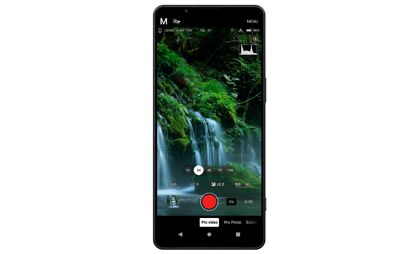 Vertikale Ansicht des Smartphone-Bildschirms, der Bäume und Pflanzen zeigt