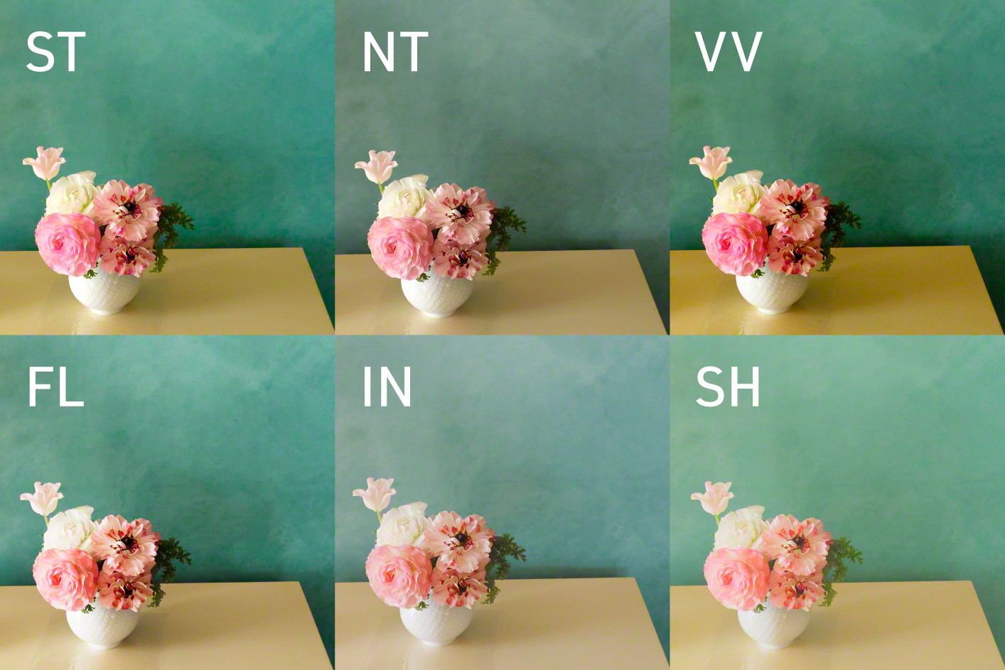 Sechs Bilder von rosa Blumen in einer weißen Vase auf einem Tisch vor einer grünen Wand
