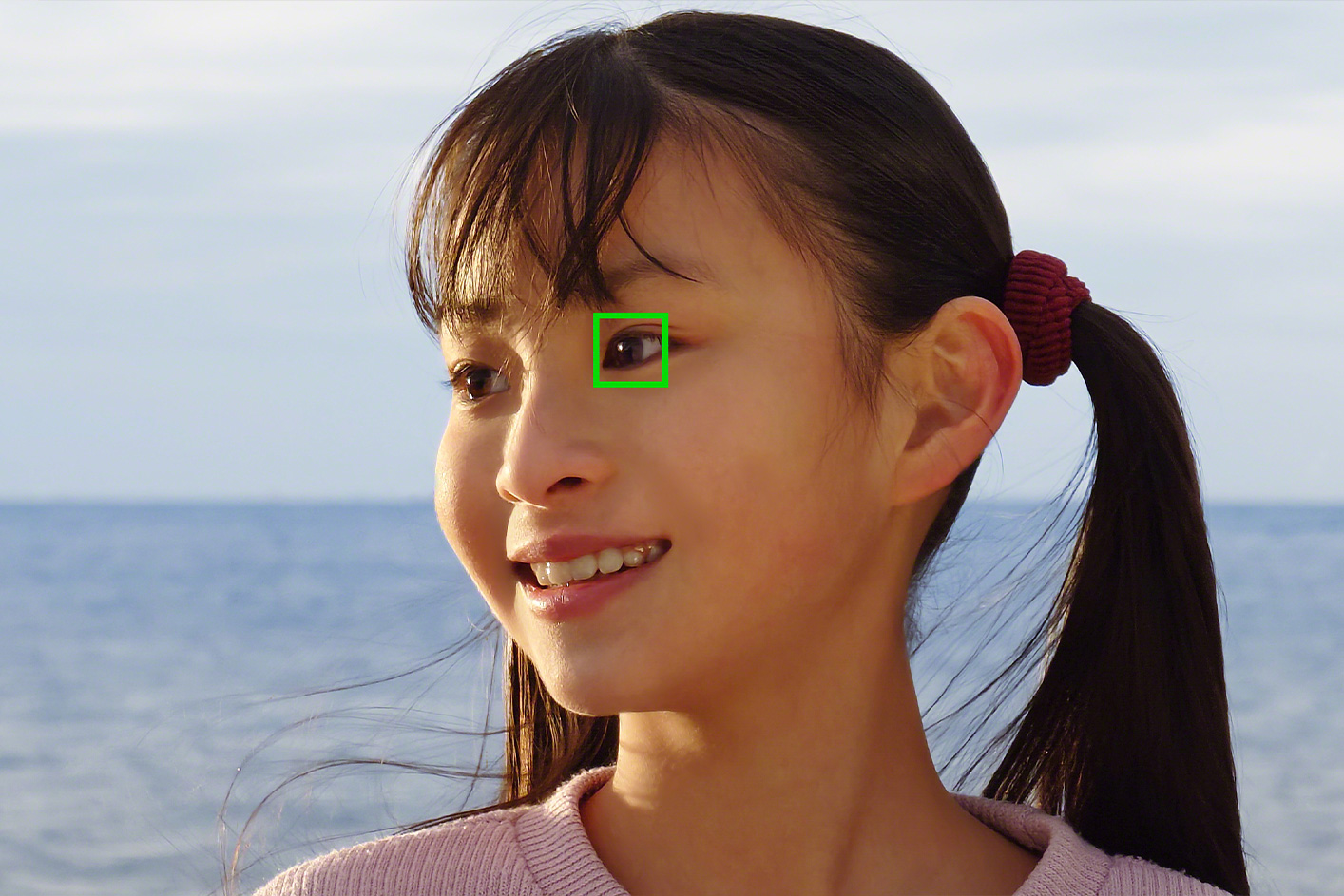 Nahaufnahme einer Person mit einem grünen Quadrat um das Auge