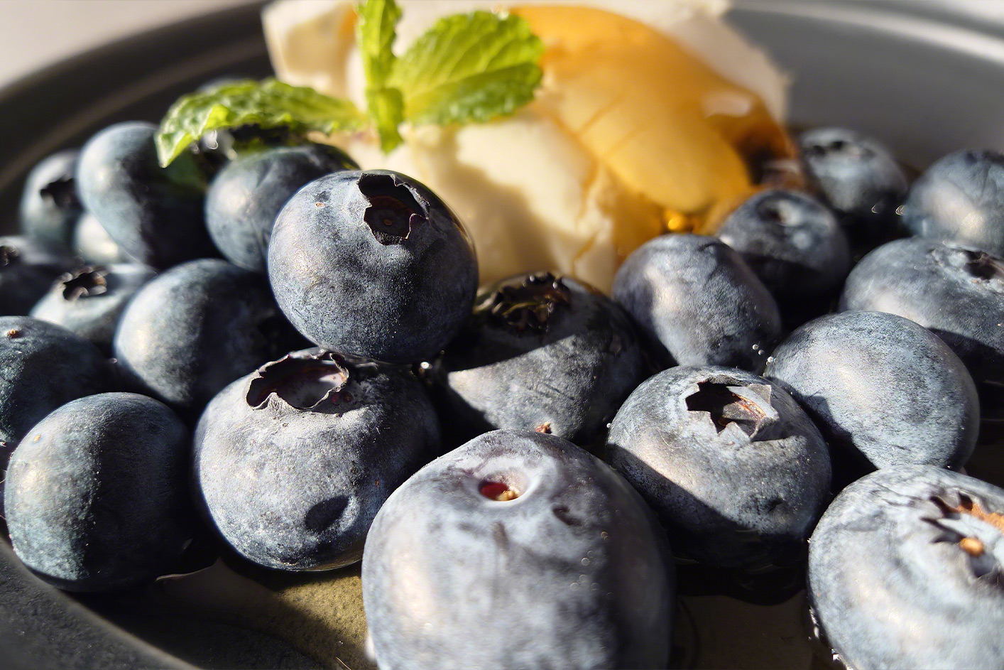 Nahaufnahme von Blaubeeren, Eis und einem grünen Blatt